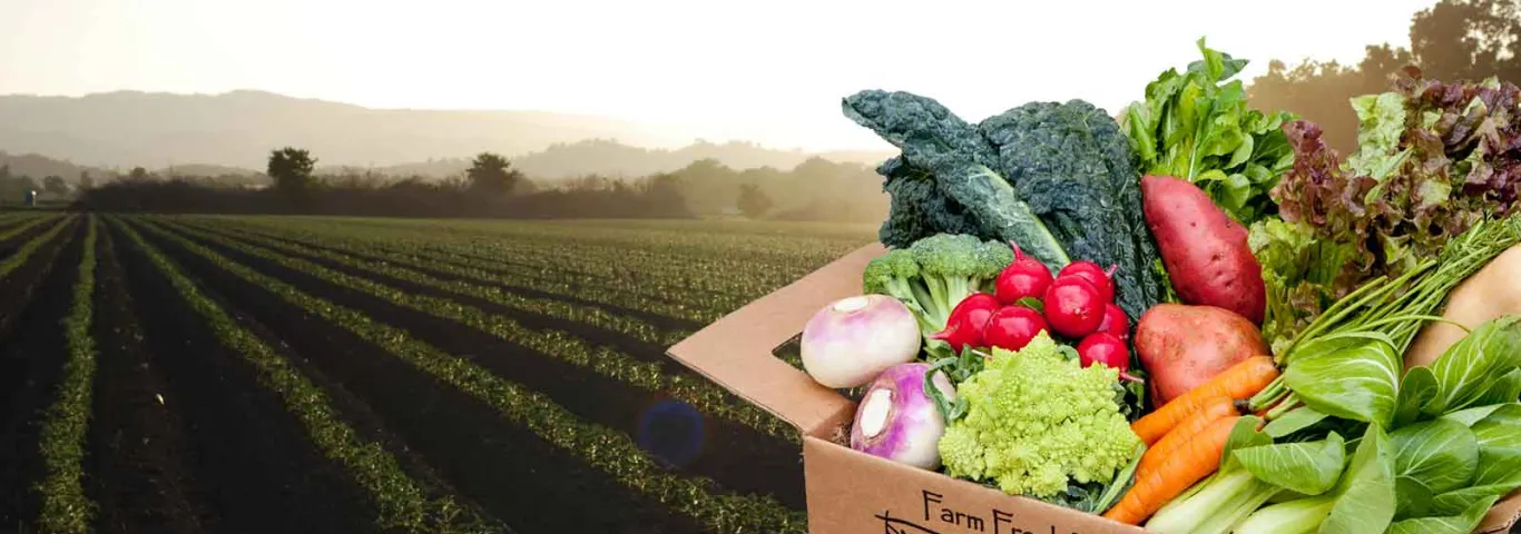 Organic Origin Story: Tracing the History of “Natural” Eating